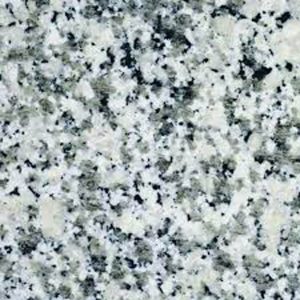 sarde-blanc sarde-blanc